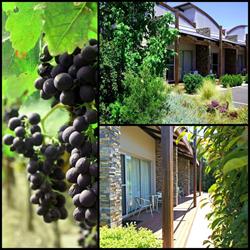 Must @ Coonawarra