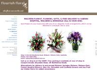 Nardoo Flowers & Foliage