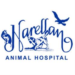 Narellan Animal Hospital