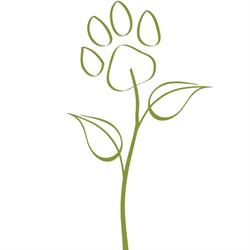 Natural Paws Holistic Pet Care