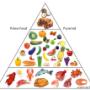 Paleo Diet