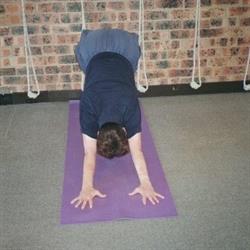 Neutral Bay Iyengar Yoga Centre