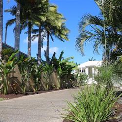 Noosa River Palms Apartments