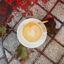 The Organic Market Cafe