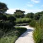 Garden Maintenace Geelong, Surf Coast, South West