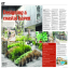 Garden Write up, Anglesea
