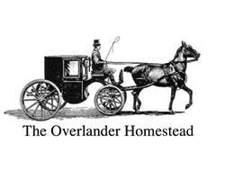 Quality Inn Overlander Homestead Motel