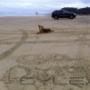 Uploaded by visitor on 22/6/2016 - Fraser Island Tag Along Tours Pelican 4x4 Hire - Fraser Island 4wd hire - www.pelican4x4hire.com.au - 0405823352