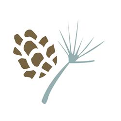 Pines Learning