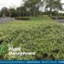 ommercial Landscape Maintenance Brisbane