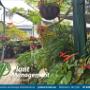 ommercial Landscape Maintenance Brisbane