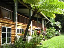 Epiphyte b & b