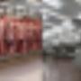 Food processing cleaning