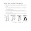 Dental Therapist