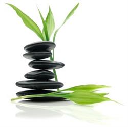 Simply Natural Therapies