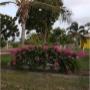 Uploaded by visitor on 6/4/2018 - Karumba Point Sunset Caravan Park Villas Cabins Swimming Pool Powered Unpowered Sites BBQ Nights Bingo Musical Program