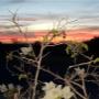 Uploaded by visitor on 6/4/2018 - Karumba Point Sunset Caravan Park Villas Cabins Swimming Pool Powered Unpowered Sites BBQ Nights Bingo Musical Program