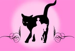 Swan Valley Cattery
