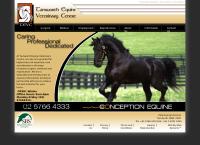 Tamworth Equine Veterinary Centre's website