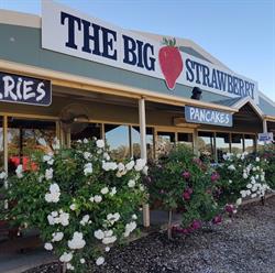The Big Strawberry