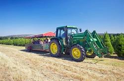 Christmas Tree Farm