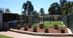 The Paw House Boarding Kennels