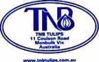 Tnb Tulips