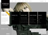 Trend Style & Image Consultants