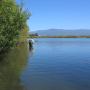 Blue sky day, polaroid, dry fly fishing Tasmania,