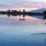 Macquarie river, Tasmania, tailing trout,
