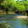 Small streams, creeks & rivers, upstream dry fly,