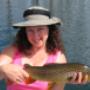 Wild brown trout, dry fly fishing,