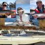fish wild Tasmania,