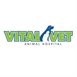 Vital Vet Animal Hospital