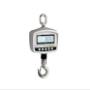 Digital hanging scales