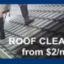 Roof Cleaning