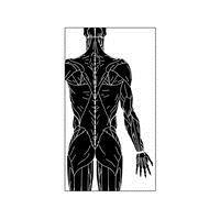 Inner West Physiotherapy & Sports Injury Centre