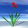 Rachel Ford Hypnotherapist