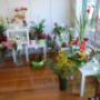 Flowers display FloraLaura