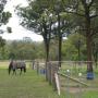 Individual paddocks
