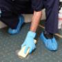 First carpet cleaning Melbourne