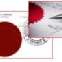 Apostille service