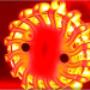 SAS LED Flare Amber flashing pattern