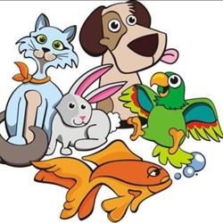 Campbelltown Pet And Aquarium Centre
