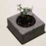bonsai concrete project