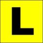 Learner Licence
