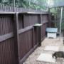 Exploring their new enclosure.