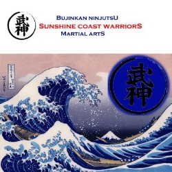 Bujinkan Ninjutsu Sunshine Coast