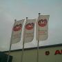 EXTENDER FLAGS