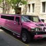 Pink Hummer Wedding Wickedlimos